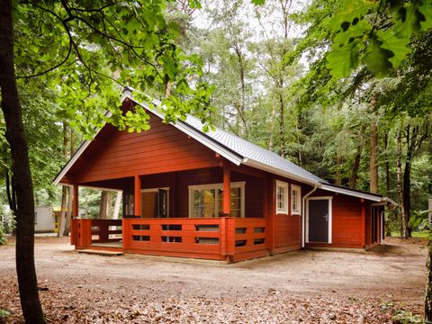 RCN Vakantiepark de Jagerstee - Epe - Afbeelding N°28