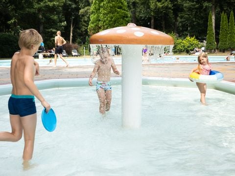 RCN Vakantiepark de Jagerstee - Camping Epe - Afbeelding N°3