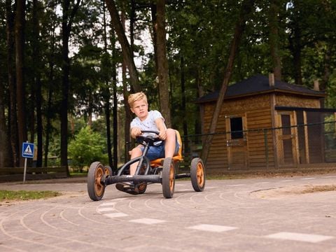 RCN Vakantiepark de Jagerstee - Camping Epe - Afbeelding N°3