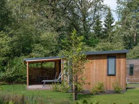 RCN Vakantiepark de Noordster - Westerveld - Afbeelding N°0