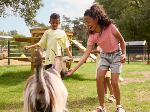 RCN Vakantiepark de Noordster - Camping Westerveld