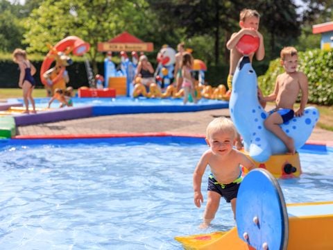RCN Vakantiepark de Noordster - Camping Westerveld - Afbeelding N°5