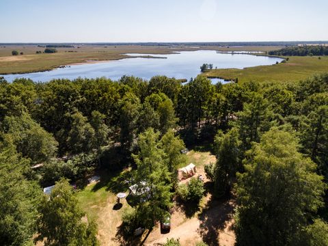 RCN Vakantiepark de Noordster - Westerveld - Afbeelding N°37