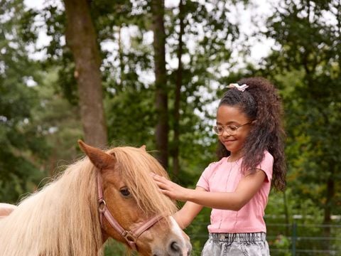 RCN Vakantiepark de Noordster - Camping Westerveld - Afbeelding N°5