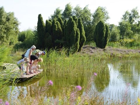 RCN Vakantiepark de Noordster - Camping Westerveld