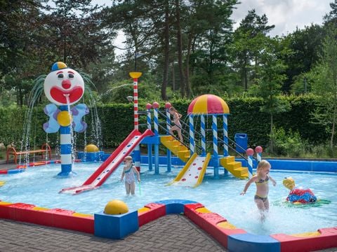 RCN Vakantiepark de Noordster - Camping Westerveld - Afbeelding N°0
