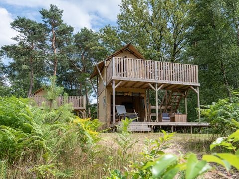 RCN Vakantiepark de Noordster - Westerveld