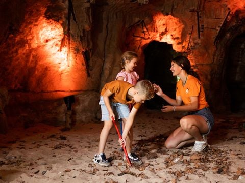 RCN Vakantiepark het Grote Bos - Camping Utrechtse Heuvelrug - Afbeelding N°2