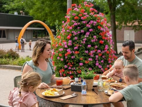 RCN Vakantiepark het Grote Bos - Utrechtse Heuvelrug