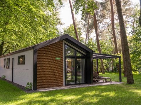 RCN Vakantiepark het Grote Bos - Camping Utrechtse Heuvelrug - Afbeelding N°0