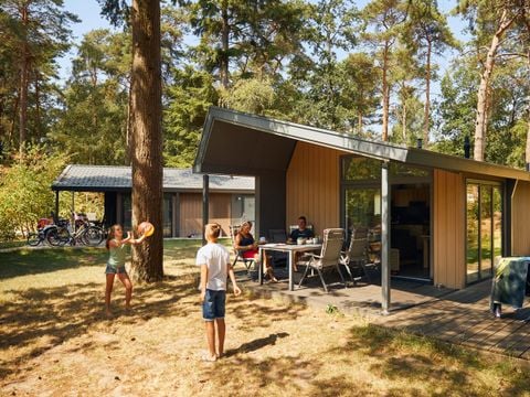 RCN Vakantiepark het Grote Bos - Utrechtse Heuvelrug - Afbeelding N°0