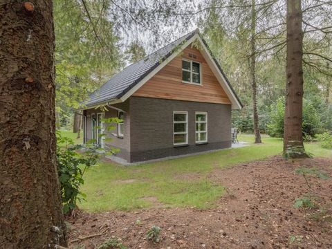 RCN Vakantiepark het Grote Bos - Utrechtse Heuvelrug - Afbeelding N°0