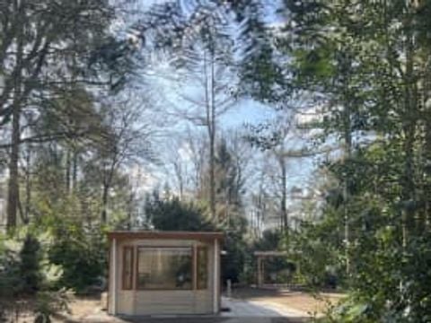 RCN Vakantiepark het Grote Bos - Utrechtse Heuvelrug - Afbeelding N°0