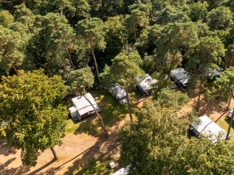 RCN Vakantiepark het Grote Bos - Camping Utrechtse Heuvelrug - Afbeelding N°0