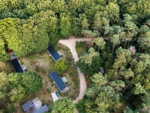 RCN Vakantiepark het Grote Bos - Utrechtse Heuvelrug - Afbeelding N°42