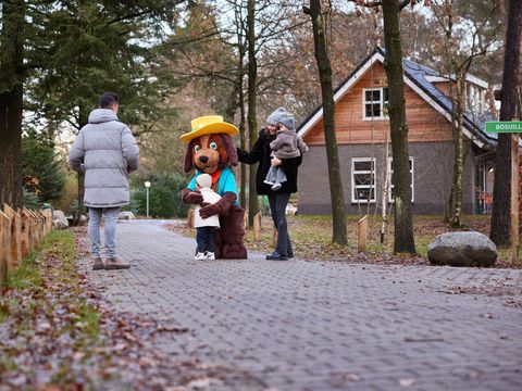 RCN Vakantiepark het Grote Bos - Utrechtse Heuvelrug - Afbeelding N°12