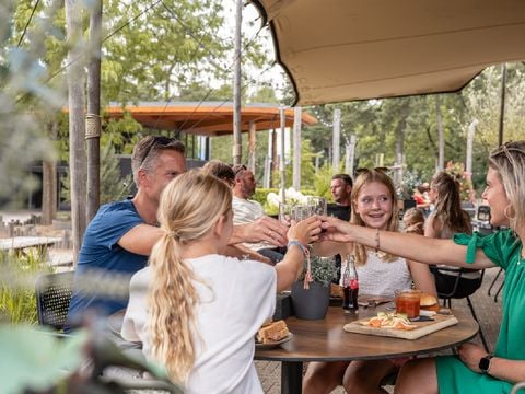 RCN Vakantiepark het Grote Bos - Utrechtse Heuvelrug