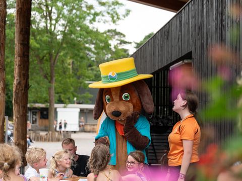 RCN Vakantiepark het Grote Bos - Utrechtse Heuvelrug - Afbeelding N°9