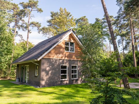 RCN Vakantiepark het Grote Bos - Utrechtse Heuvelrug - Afbeelding N°41