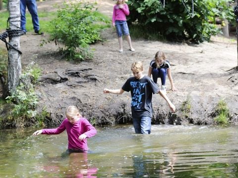 RCN Vakantiepark het Grote Bos - Utrechtse Heuvelrug - Afbeelding N°17