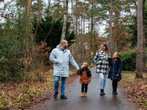 RCN Vakantiepark het Grote Bos - Utrechtse Heuvelrug - Afbeelding N°37