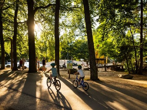 RCN Vakantiepark het Grote Bos - Utrechtse Heuvelrug
