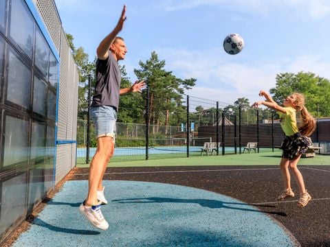 RCN Vakantiepark het Grote Bos - Utrechtse Heuvelrug