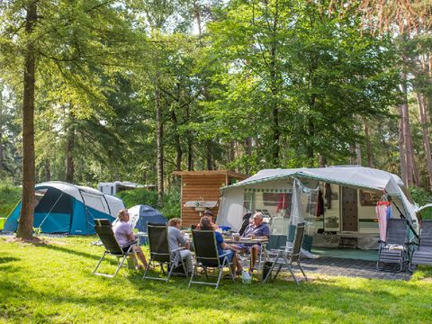 RCN Vakantiepark het Grote Bos - Utrechtse Heuvelrug - Afbeelding N°34