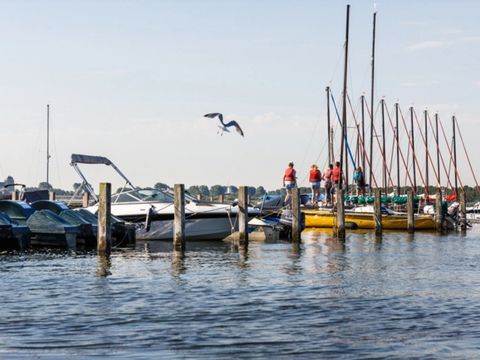 RCN Vakantiepark De Schotsman - Noord-Beveland - Afbeelding N°44