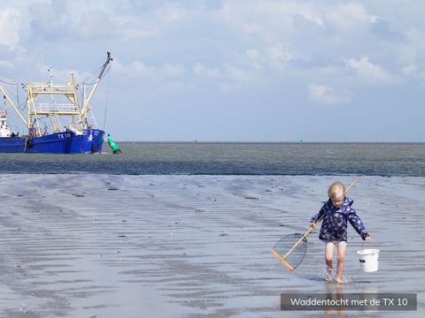 Texelcamping Loodsmansduin - Texel - Afbeelding N°17