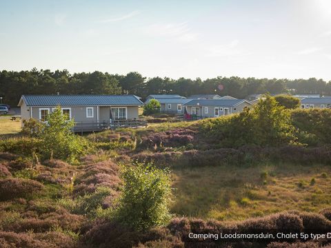 Texelcamping Loodsmansduin - Texel - Afbeelding N°9