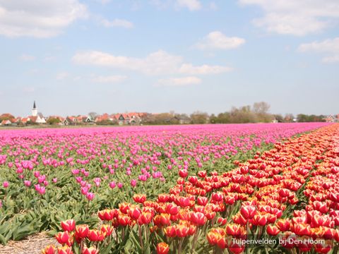 Texelcamping Loodsmansduin - Texel - Afbeelding N°18