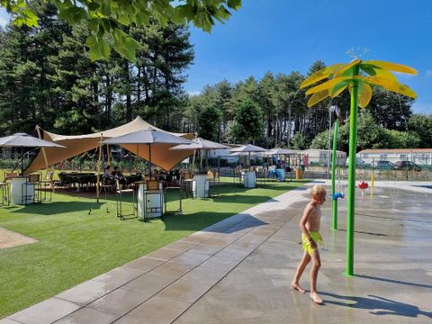 Verblijfpark Breebos - Antwerpen - Afbeelding N°13