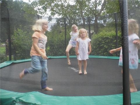 Ferienpark Eifellux - Camping Rijnland-Palts - Afbeelding N°3