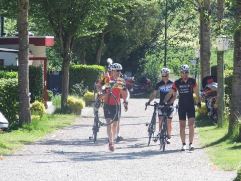 Ferienpark Eifellux - Camping Rijnland-Palts - Afbeelding N°4