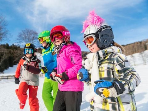 Landal Alpen Chalets Bad Kleinkirchheim - Karinthië