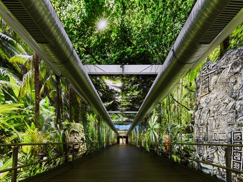 Tropical Islands Resort - Brandenburg - Afbeelding N°24
