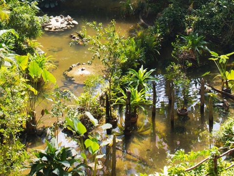Tropical Islands Resort - Brandenburg - Afbeelding N°41