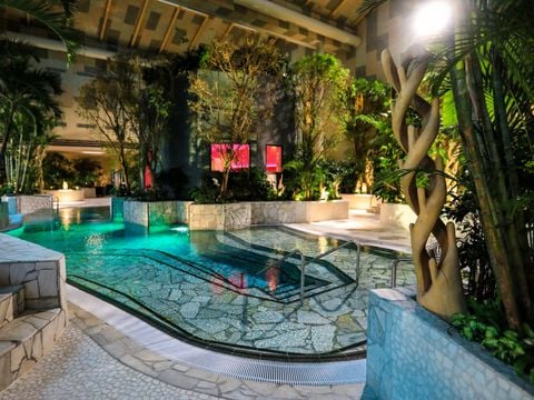 Center Parcs Park Allgäu  - Camping Beieren - Afbeelding N°5