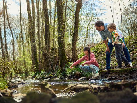 Center Parcs Park Hochsauerland - Noordrijn-Westfalen - Afbeelding N°56