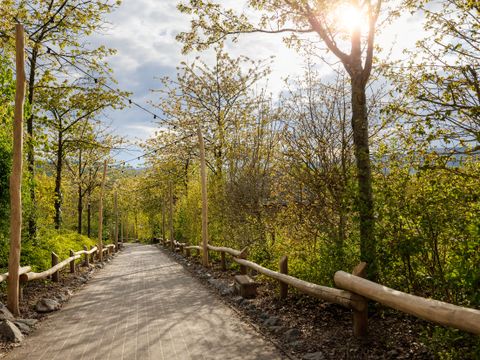 Center Parcs Park Hochsauerland - Noordrijn-Westfalen - Afbeelding N°50