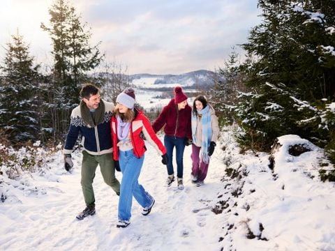 Center Parcs Park Hochsauerland - Noordrijn-Westfalen - Afbeelding N°2