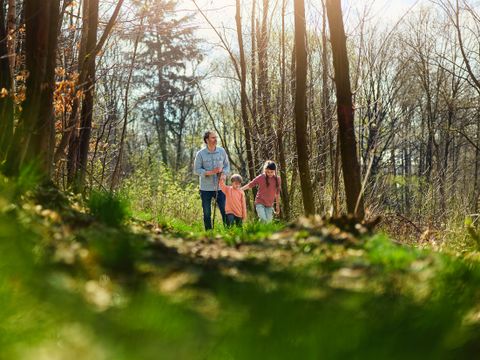 Center Parcs Park Hochsauerland - Noordrijn-Westfalen - Afbeelding N°53