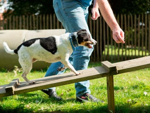 Landal Dwergter Sand - Nedersaksen