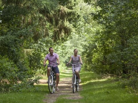 Landal Dwergter Sand - Nedersaksen