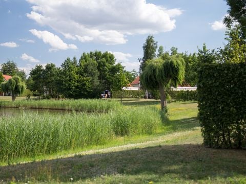 Resort Boschmolenplas - Camping Maasgouw - Afbeelding N°2