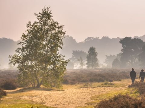 Park Berkenrhode - Ede