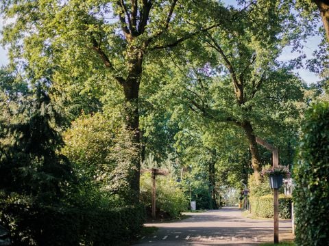 Park Berkenrhode - Ede - Afbeelding N°5