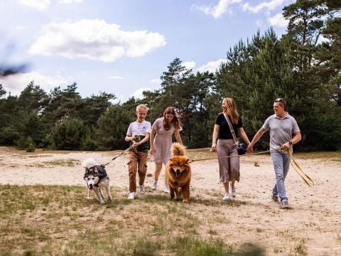 Park Berkenrhode - Ede - Afbeelding N°3