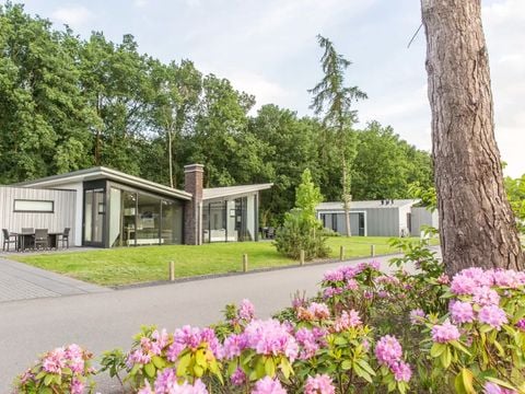 Landal Amerongse Berg - Camping Utrechtse Heuvelrug - Afbeelding N°0